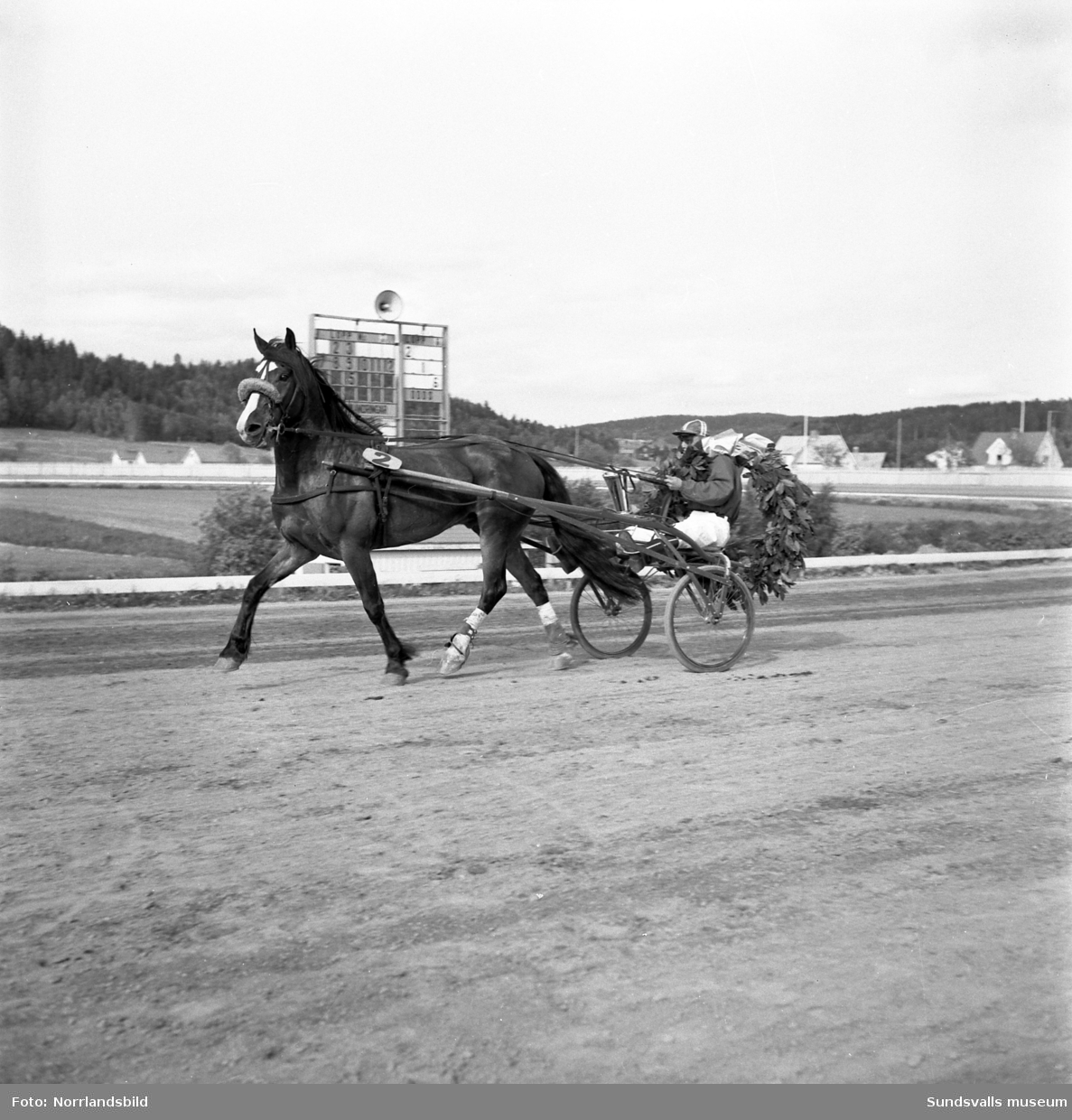 Svensk-Norska Kallblodslandskampen på Bergsåkerstravet 1959. Defileringen inleddes med förridare från Sundsvalls Ridklubb.
