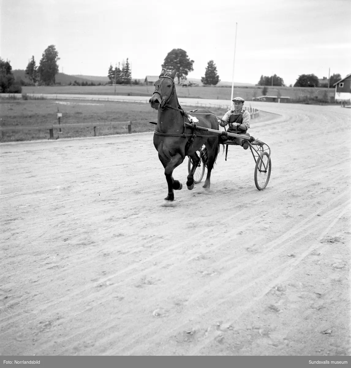Travtävlingar på Bergsåkers travbana. På bild 2 och 3 ses kusken Sven Helsing med hästen Peter Sam. På bild 4 kusken Tore Andersson.