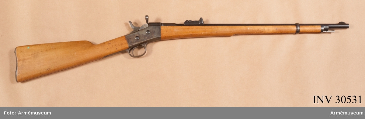 Grupp E II f.
Karbin fm/1867-89. Remington.