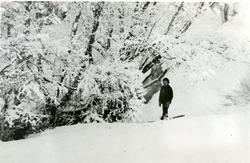 Paul Lindseth på ski i Flatanger