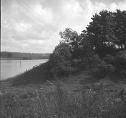 Borarmen ved Lambrechtdammen, bordenden av Olavsvollen, Sarp