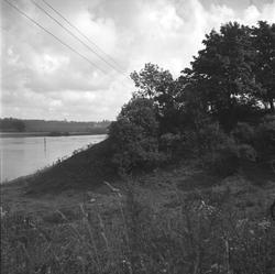 Borarmen ved Lambrechtdammen, bordenden av Olavsvollen, Sarp