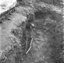 Skjelettfunn i St. Nikolas kirkeruin, i Sarpsborg. Ant. 1960