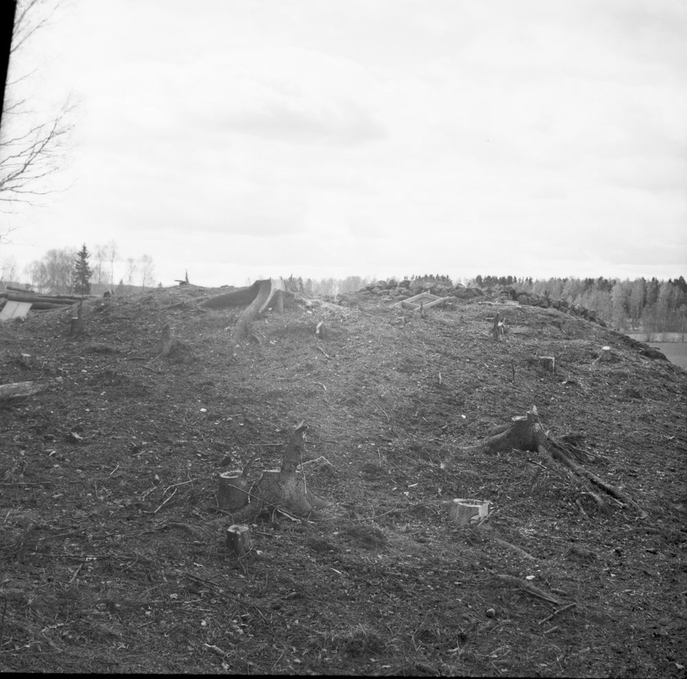 Nycklabacken  Åltorp  vid utgrävningen 1955  Tarsled