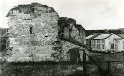 Nærøya, kirkeruinen og hovedbygningen