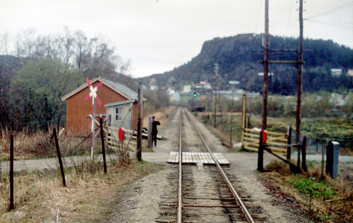 Grindvokter i tjeneste ved planovergang, Namsoslinjen. I bakgrunnen sees innkjørsignalet til Namsos stasjon. Grindene stengte vekselvis jernbane og vei.