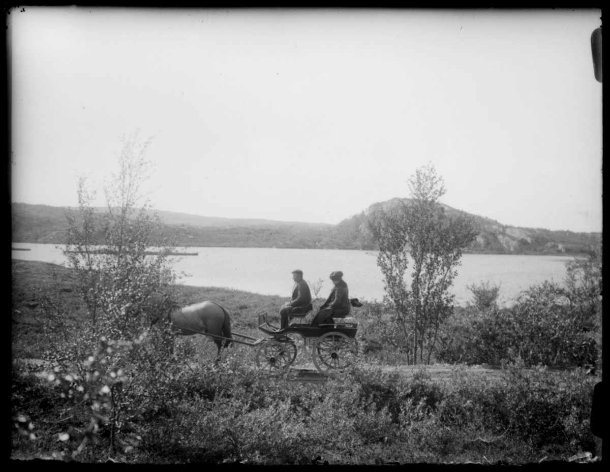 Hest og vogn på vei i Sør-Varanger.