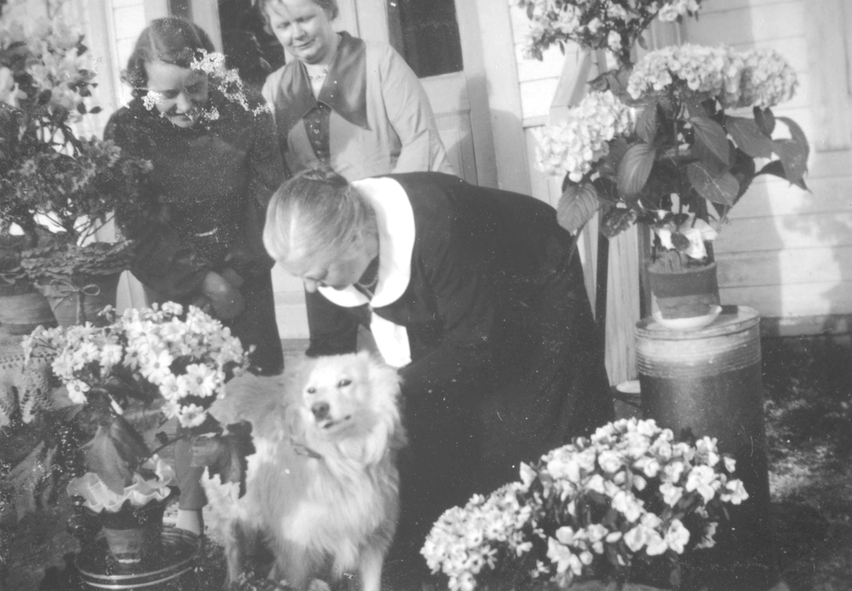 Karoline Ohlsen står bøyd ved siden av en hund. Bak henne står to damer. Det er mange blomster rundt.