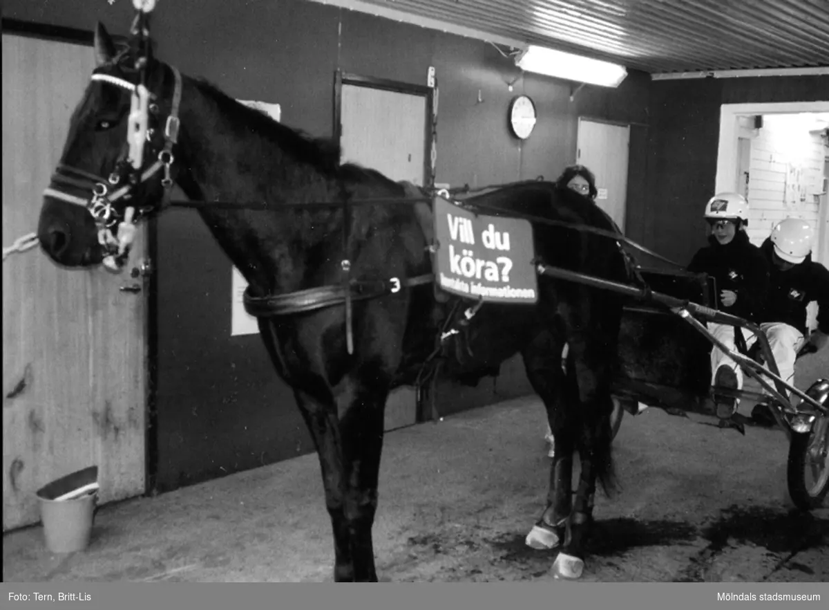 Testa att köra travhäst med Åbys dubbelsulky, en populär aktivitet för banans besökare. 


Blandade bilder insamlade inför dokumentation av Åby Stallbacke och Stallgårdar 2015.