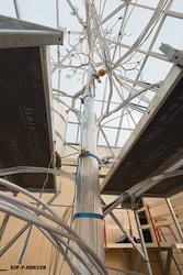 Fra arbeidet med utstillingsprosjektet «Det fantastiske tree