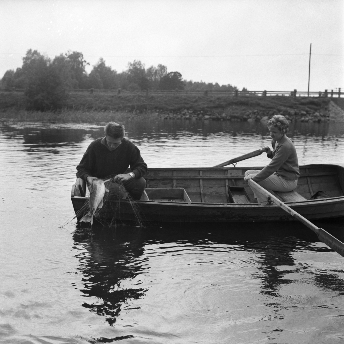 Gösfiske i Nätaren på 1960-talet. Sjön är känd för sitt stora bestånd av gös och är en av Sveriges bästa gössjöar.