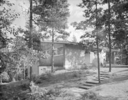 Johansen, Kristine fru