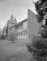 Johansen, Kristine fru