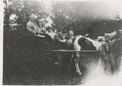 En gruppe personer med en islandsponni og kjerre.