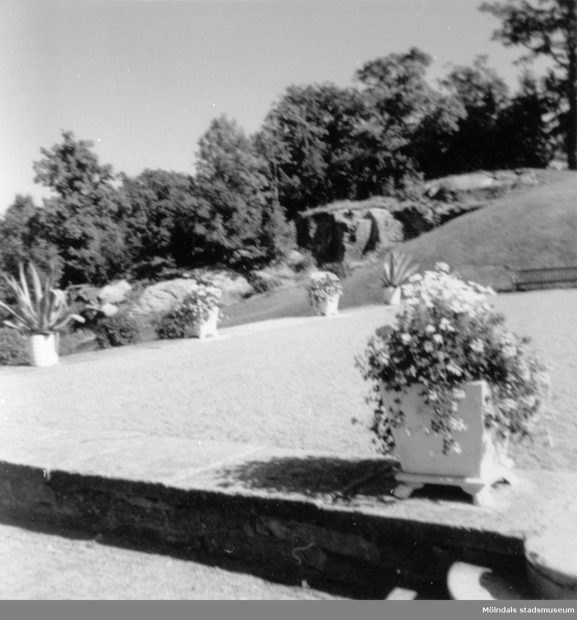 Grusplan samt växter. Gunnebo slott 1970-tal.