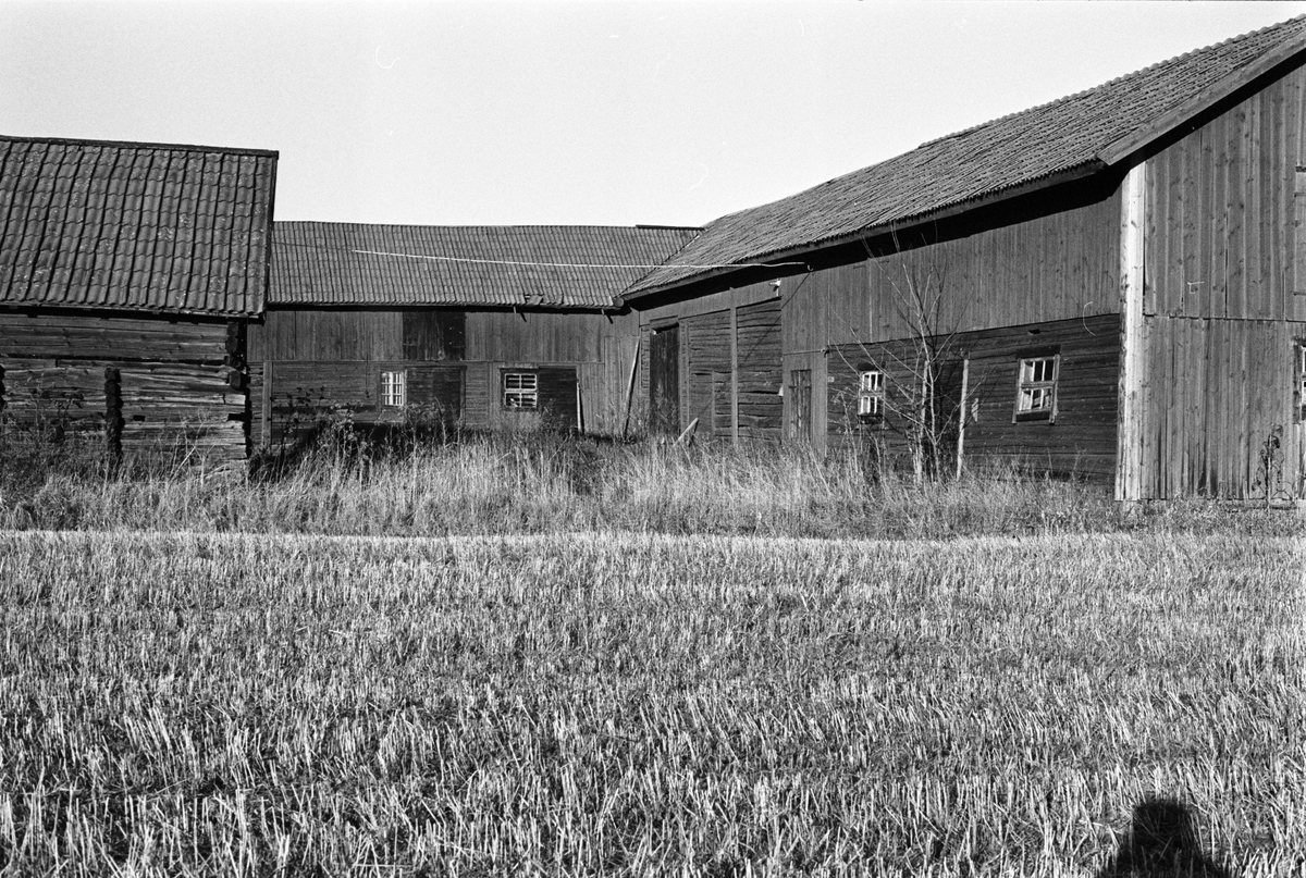 Stall och ladugård, Tjälinge 2:2, Skogs-Tibble socken, Uppland 1985