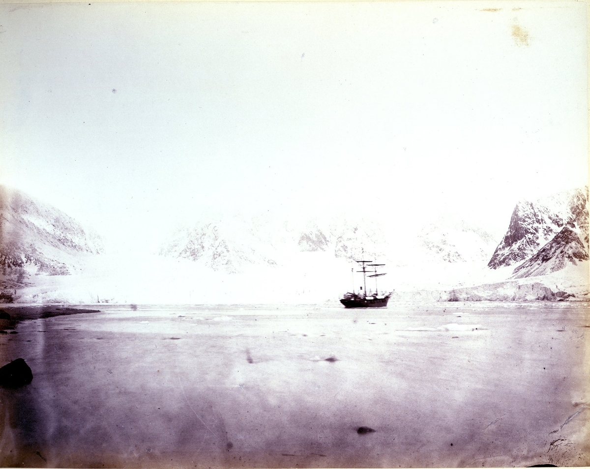 "Magdalena-bay" med expeditionsfartyget Diana.
