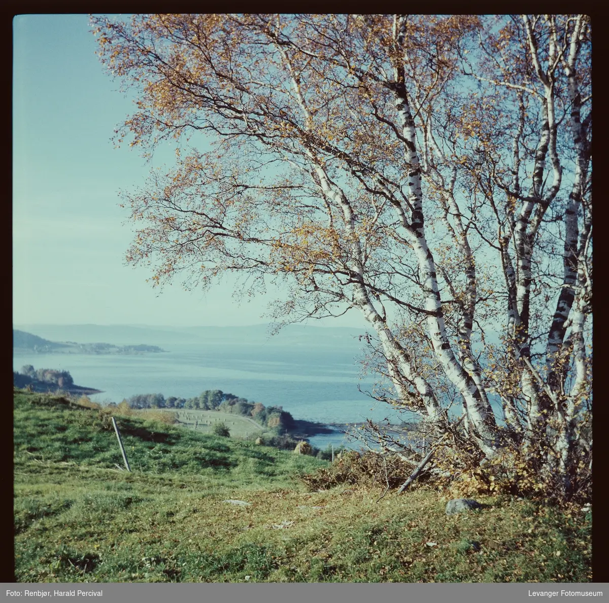 Utsikt fra Folden- Røstad utover Trondheimsfjorden mot Ytterøya.