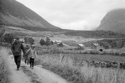Medlemmer av Harstad turlag går nedover en vei på Grytøya, m