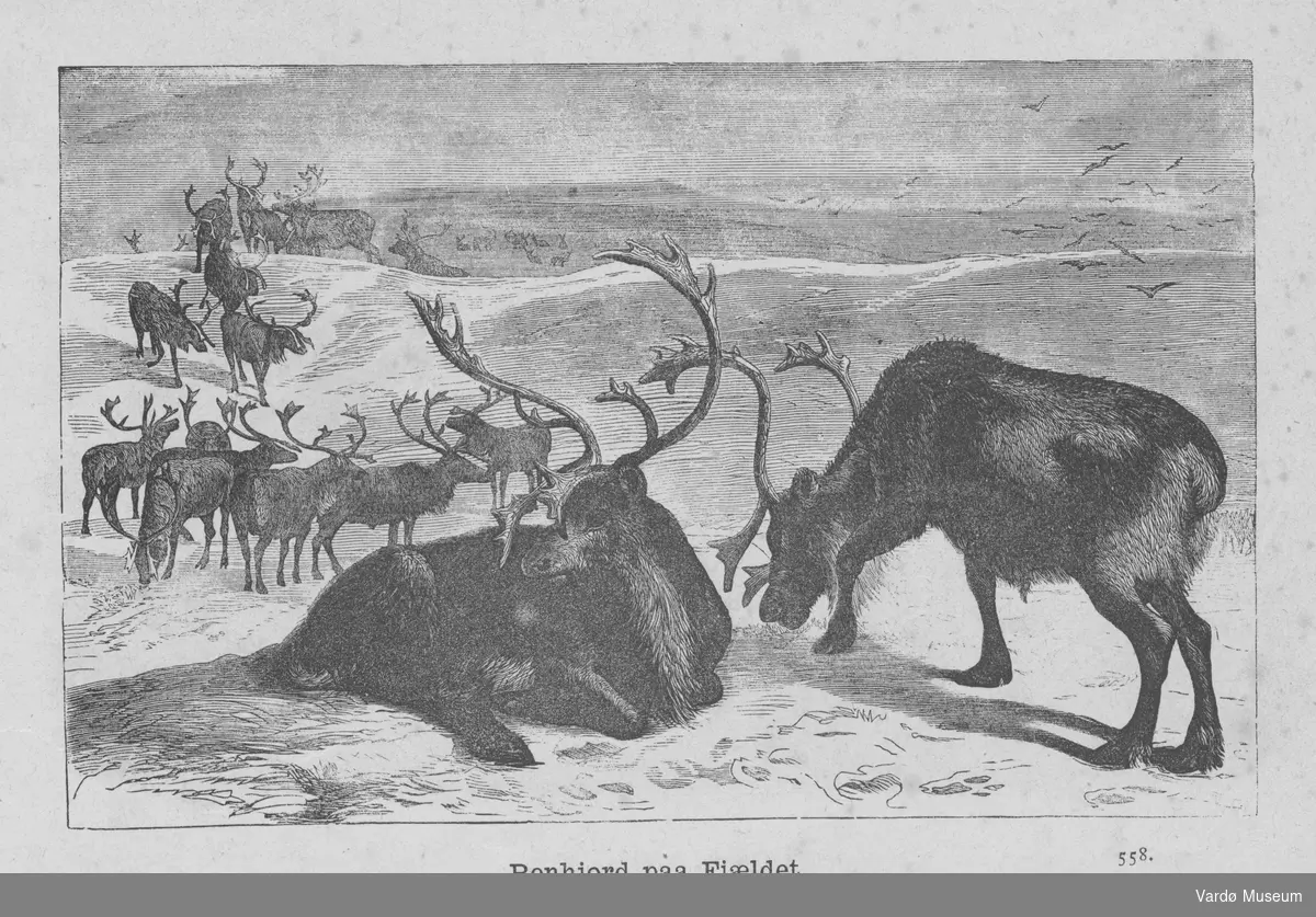 Tresnitt med reinsdyr i fjellet