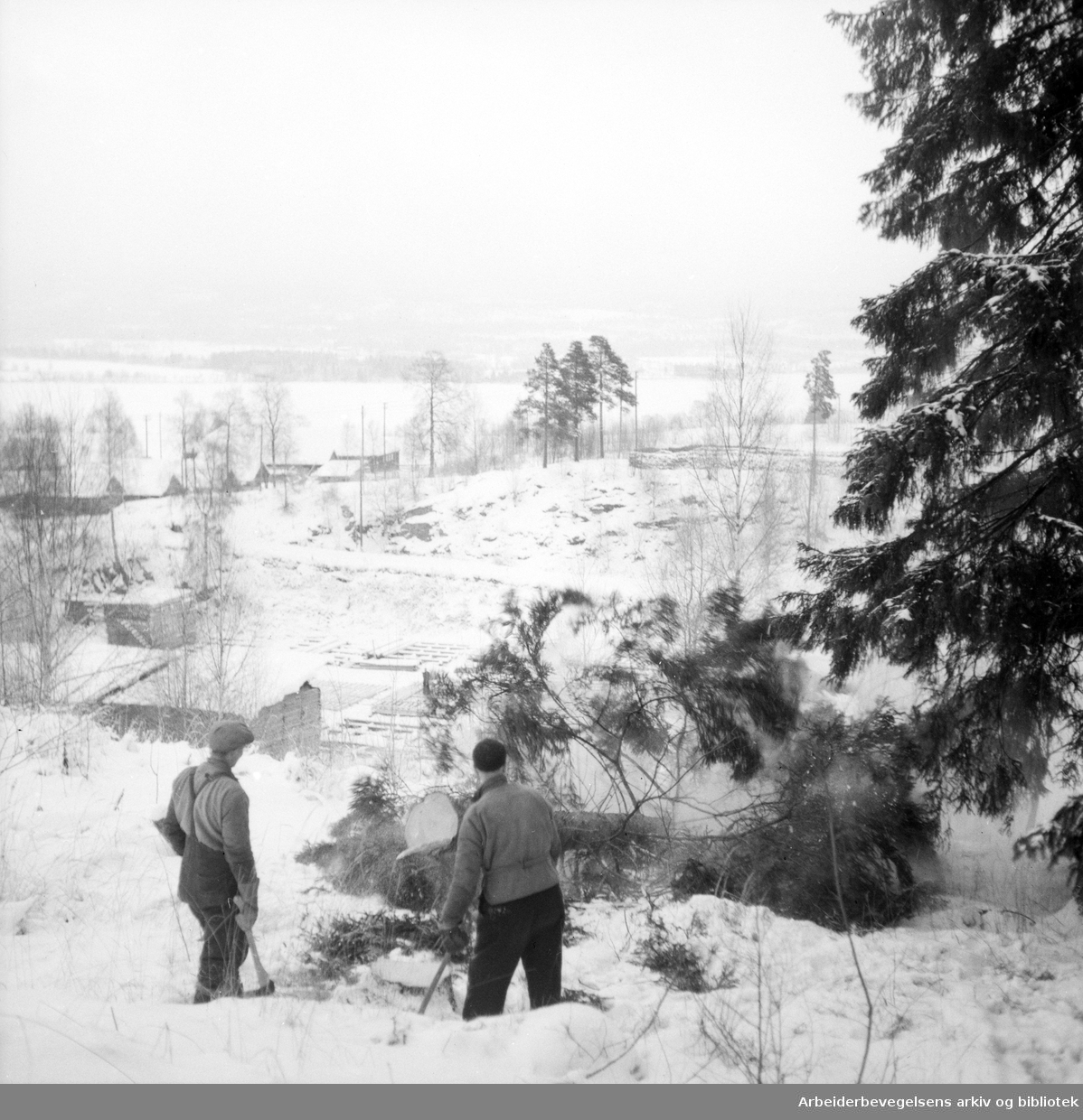 Skogsarbeidere. Oslomarka. Ingen ytterligere oppl. 1951 - 1952.