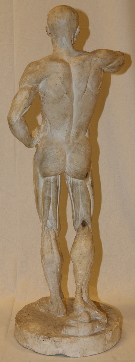Skulptur av gips (Li-2595 A)
Ark med muskelstudium (Li-2595 B)
Anmeldelse til Statens Kunstutstilling (Li-2595 C)