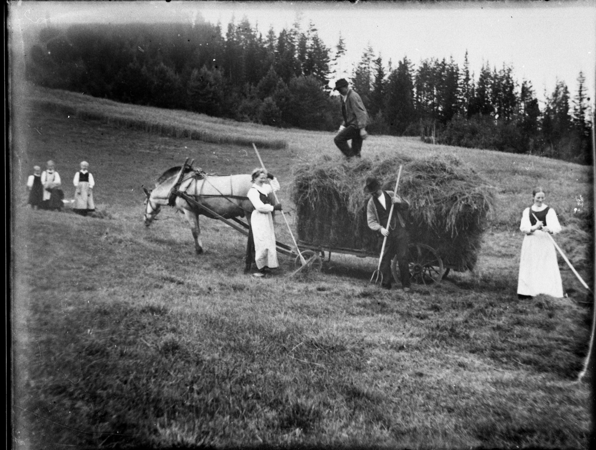Fotosamling etter Bendik Ketilson Taraldlien (1863-1951) Fyresdal. Gårdbruker, fotograf og skogbruksmann. Fotosamlingen etter fotograf Taraldlien dokumenterer områdene Fyresdal og omegn. 
Gruppeportrett, fra høyonna på Taraldlien.