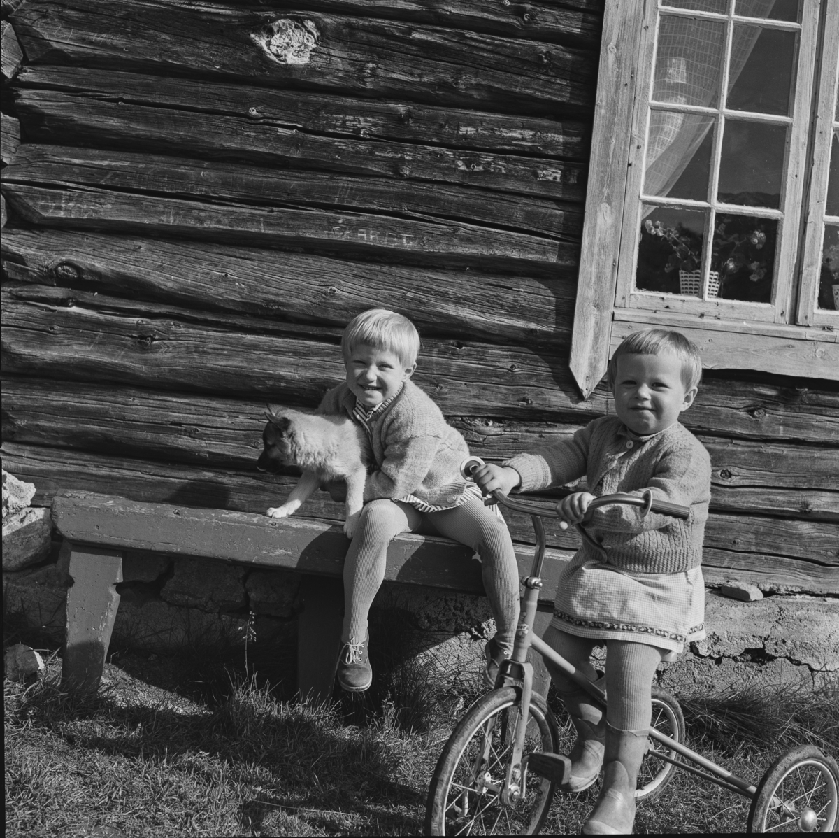 Barn med hund og trehjulssykkel ved hytteveggen på en tur til Tronfjellet, Alvdal i 1965