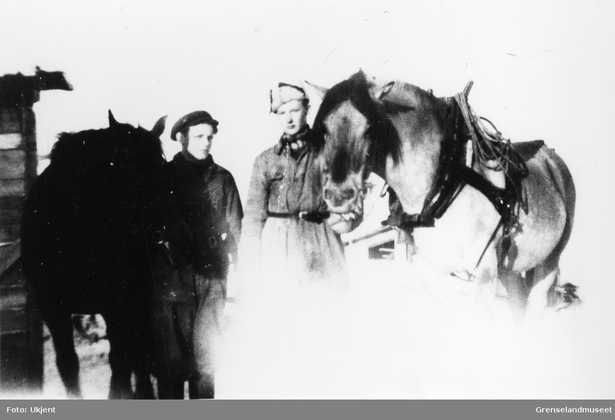 Hestene Pia og Blakken. Mennene er fra venstre Terje Pedersen fra Kirkenes og  Emil Bordi fra Svanvik. 
