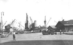 Havnekraner og lasteskip, trolig i Kiel, Tyskland
