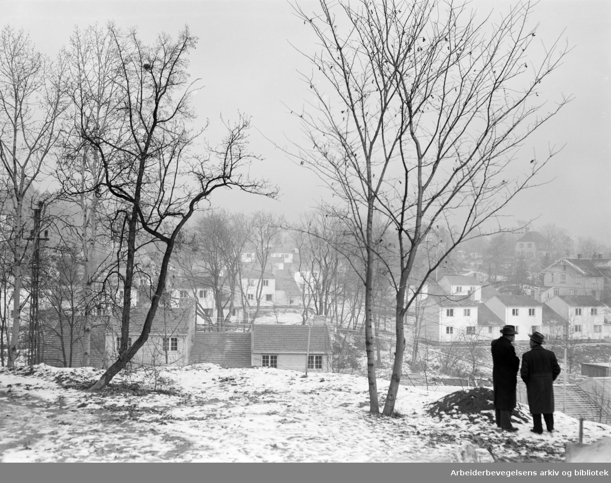 Kunstnerboligene på Ekely, mars 1954.