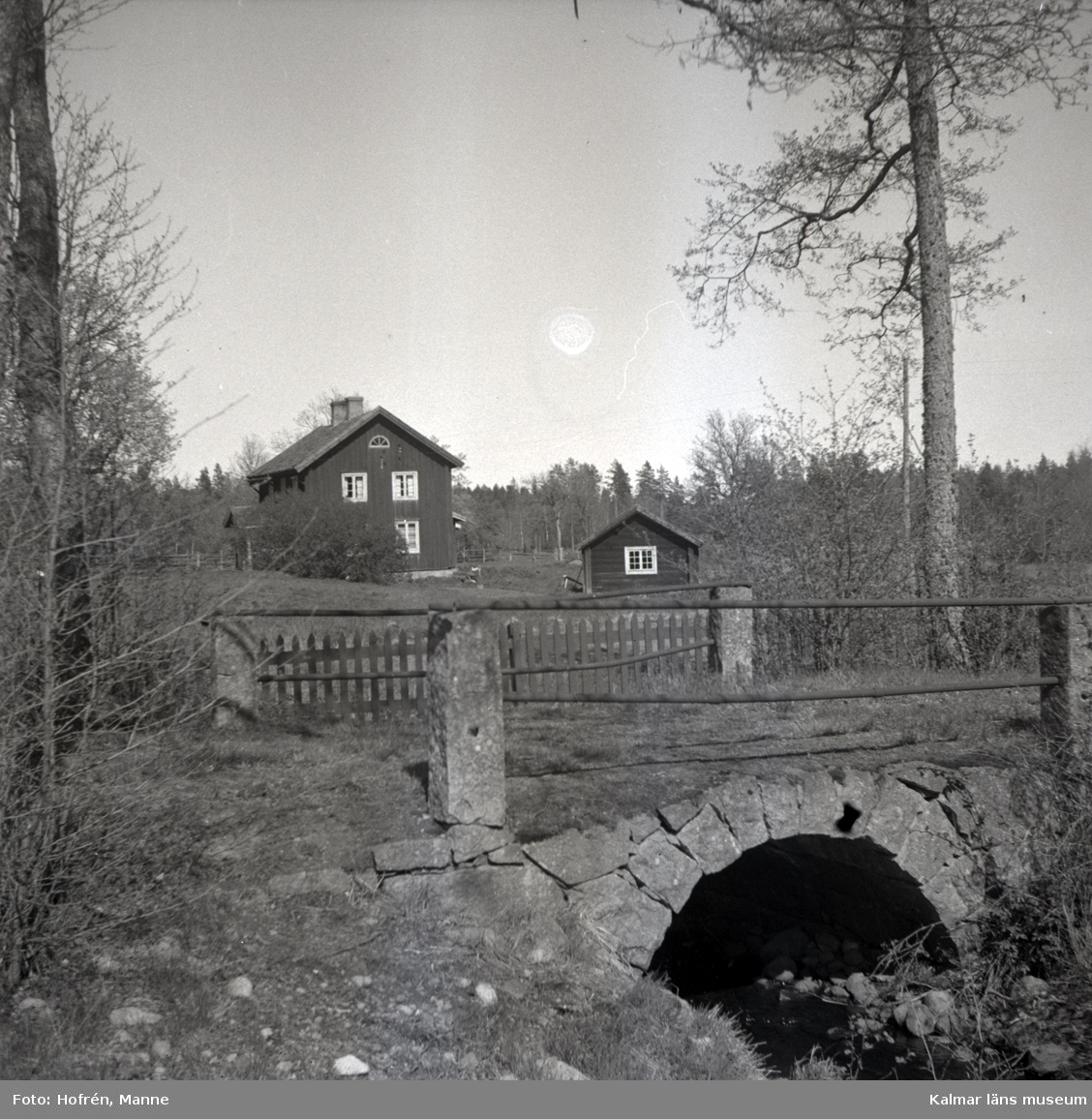 Stenvalvsbro och en betongförstärkt gammal ek i Askaremåla.