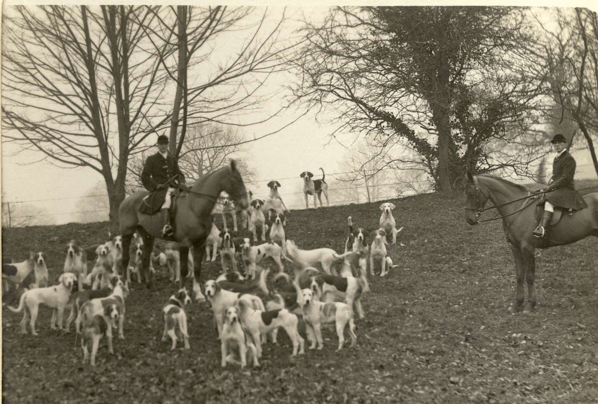To jegere til hest samt et kobbel med hunder fra "The Monmouthshire Hounds" deltar i jakten "The Meet" i Abergavenny i Wales. Fotografi signert R. Houlson, Abergavenny. Antagelig fotografert 1912-1913.
