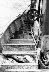 Fiskekasser ombord i Liljen.