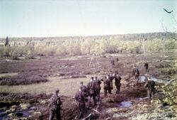 Soldater på marsj i et myrområde ved østfronten.