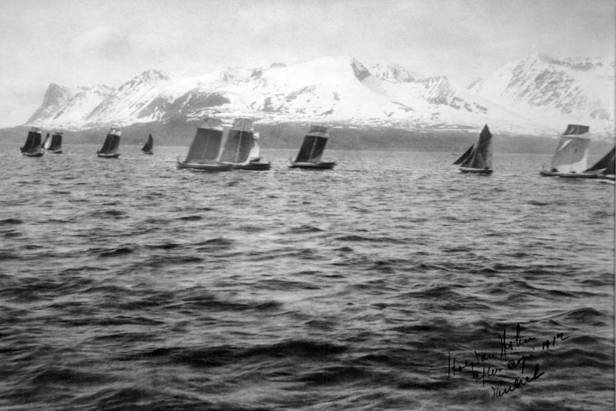 Nordlandsbåter på Vågsfjorden.