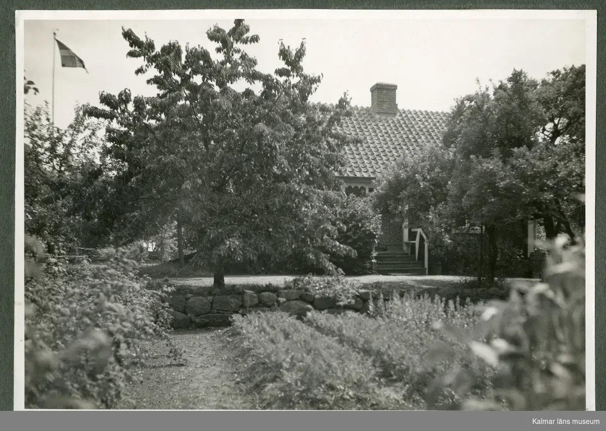 Trädgården och baksidan av Waldemar Swahns sommarbostad på Stångudden, Ekenäs.