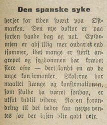 Hedemarkens Amtstidene 08. oktober 1918