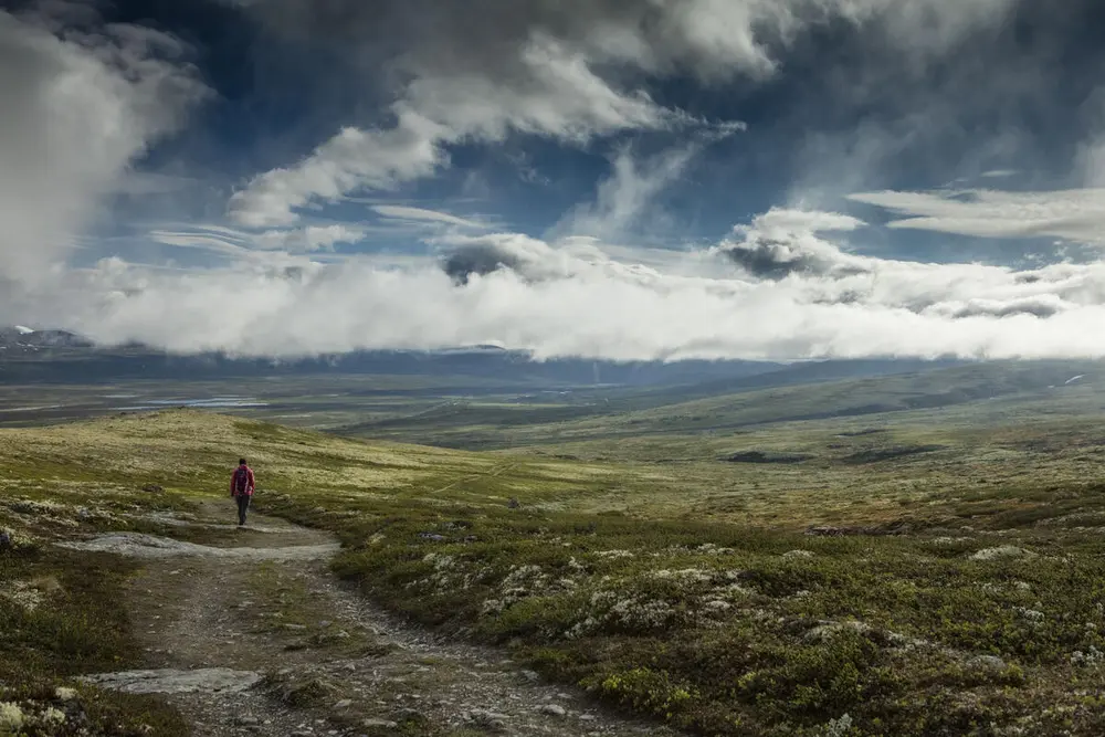 Oversiktsbilde av Kongevegen over Dovrefjell. Gammel vei i fjellandskap.