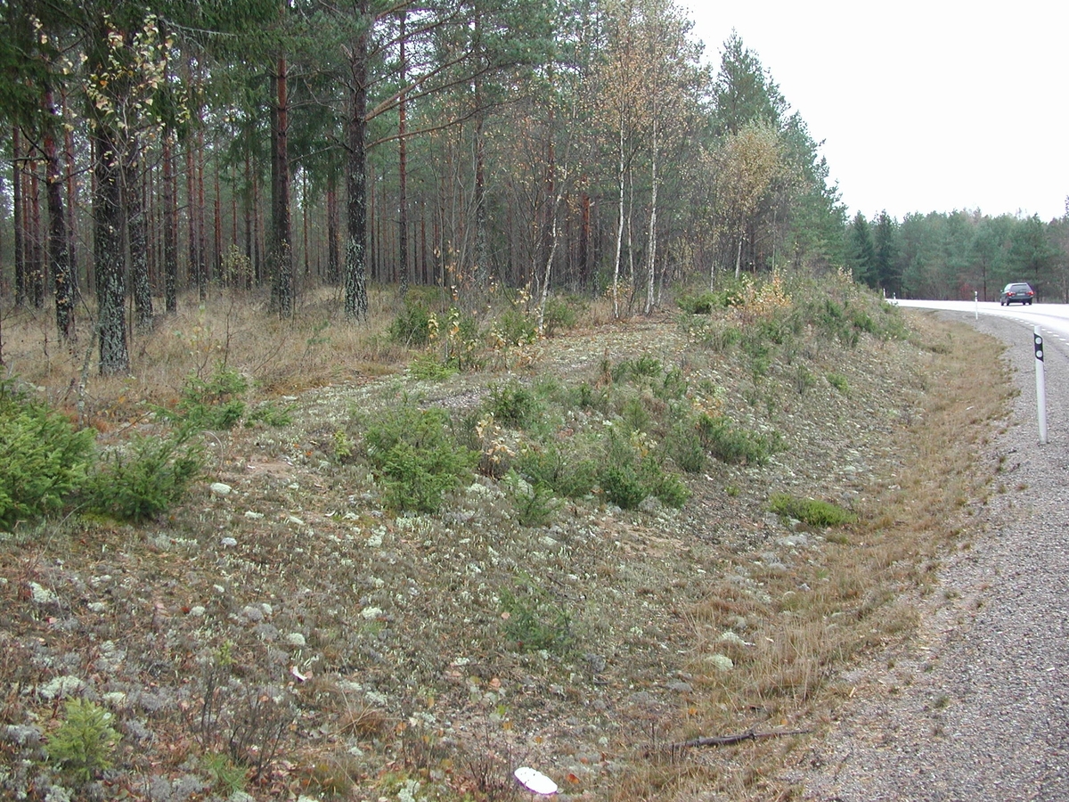 Foto i samband med arkeologisk utredning av väg 67, Valbo sn.
Äldre landsväg (18) fr N.