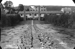 Kongebesøk i Molde 26.08.1945..Mottagsportene ved oppkjørsel
