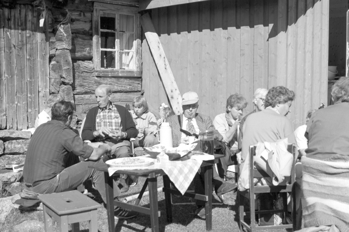 Vestre Slidre historielag sin tur til Strø, 2.september 1990.