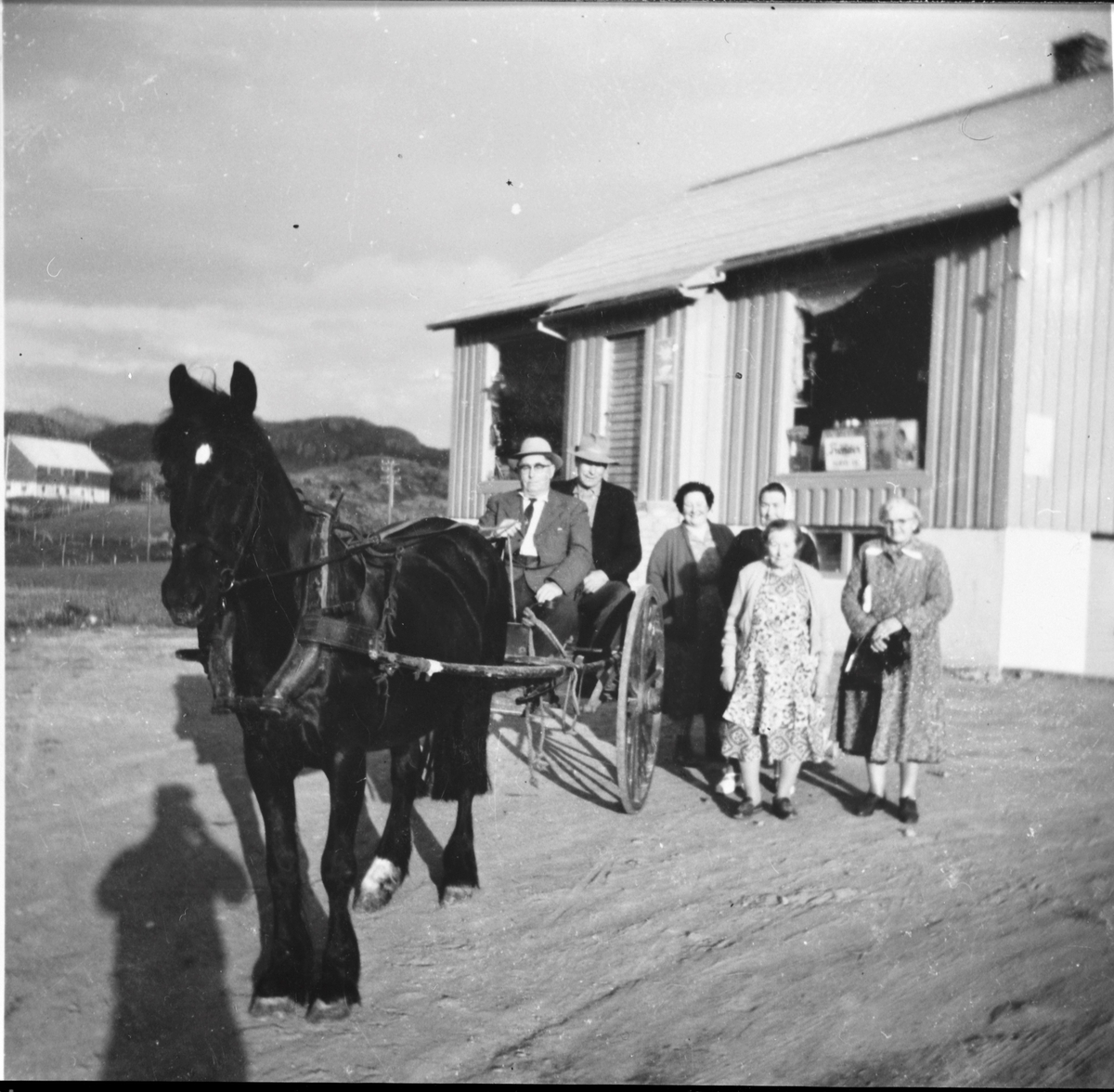 Handletur med hesten "Bruna"på Adserøy Landhandel, Asserøya, Jøssund