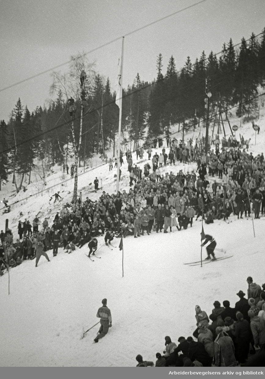 Vinter-OL 1952. De sjette olympiske vinterleker, arrangert i Oslo, 14.-25. februar 1952. Slalomøvelsene ble arrangert i Rødkleiva.