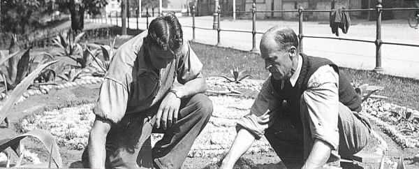 Kaktusplanteringen i Varbergs järnvägspark som detta år uppvisar en medaljong med Hallands vapen så det bör vara 1953. På bild 2 ses t h stadsträdgårdsmästare Oscar Johansson och en medarbetare i planteringen.