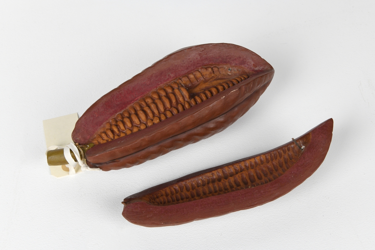 En modell av en kakaofrukt støpt av gips med ståltråd i. Frukten består av to deler og kan åpnes/lukkes. Utsiden er malt i en rødbrun farge mens innmaten er malt i en lysere brunfarge.