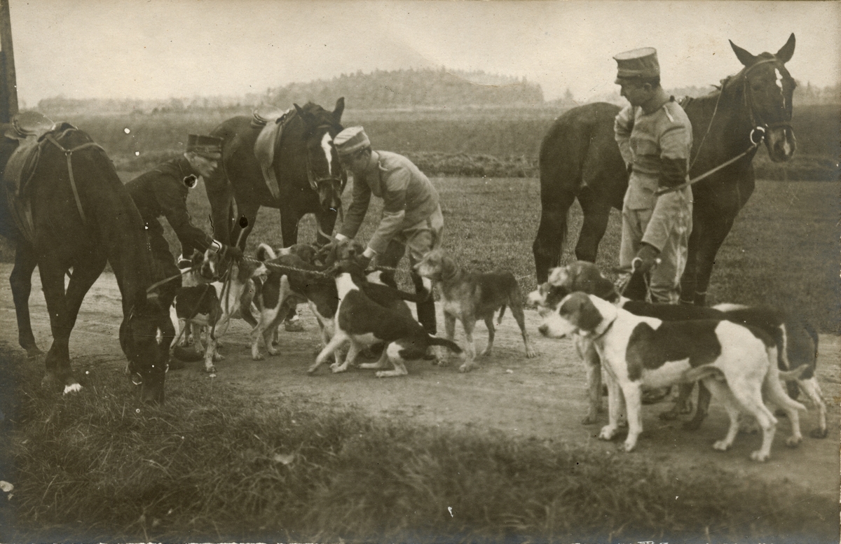 Soldater med hundar på landsvägen.