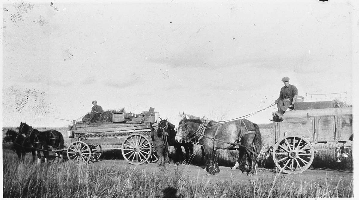 På flyttefot i British Columbia, Canada, 1930. Torger Grønseths flyttelass på vei til hans nye "homestead".


