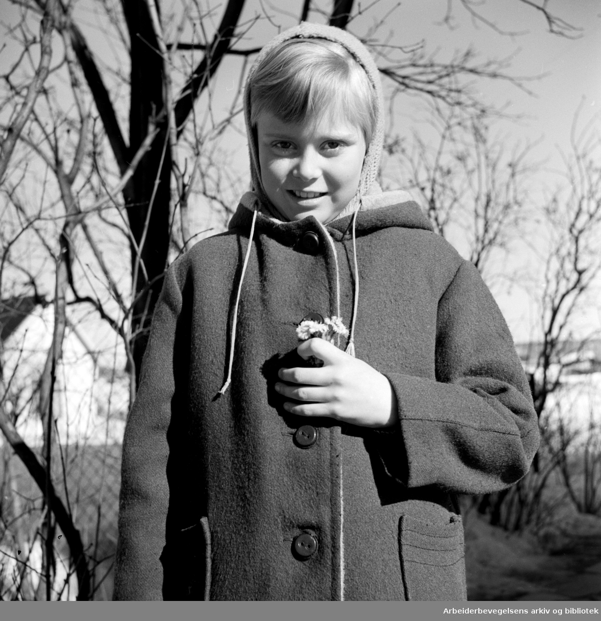 Reidun med årets første hestehov. Mars 1958.