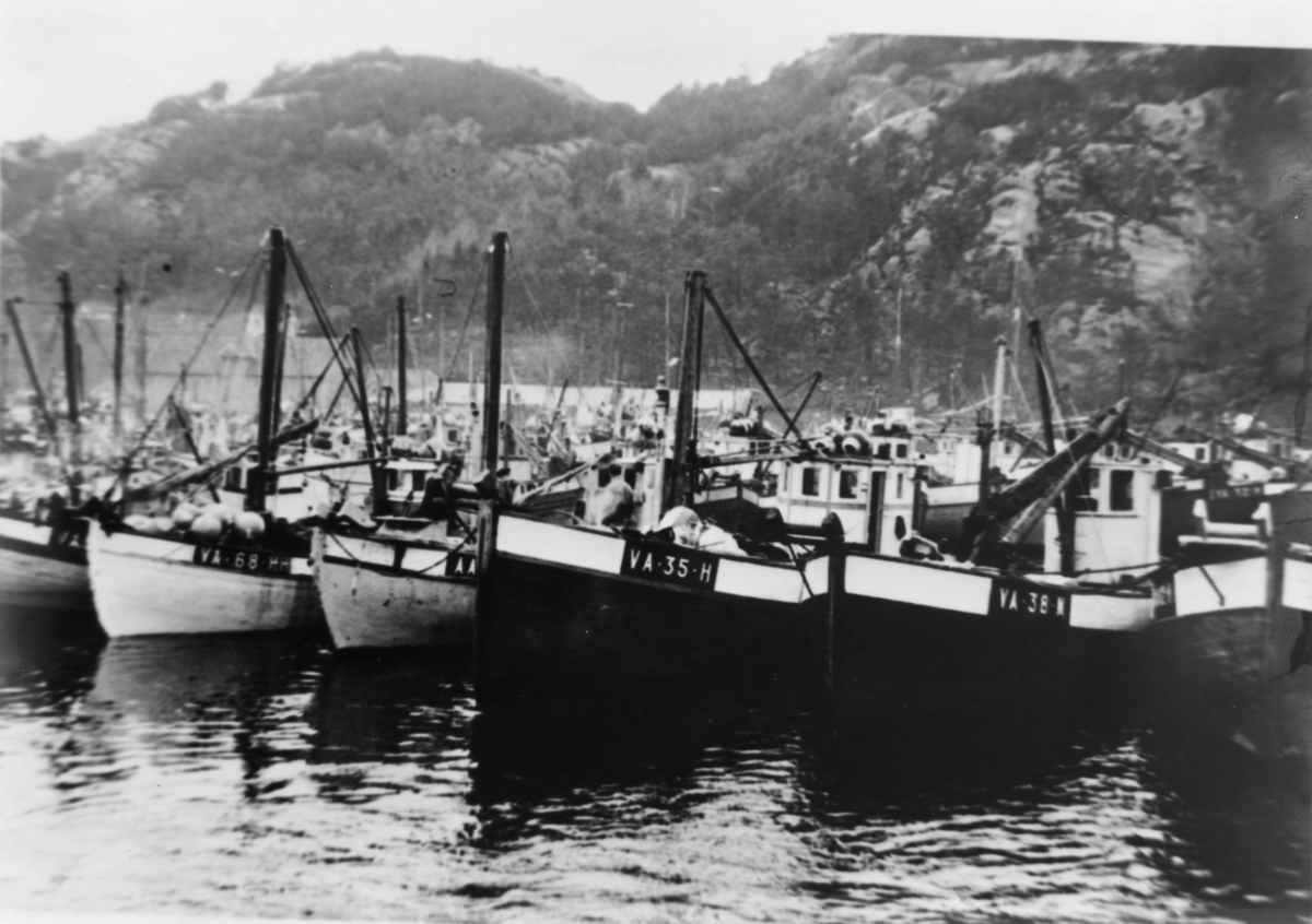 Fiskeflåten ved Steinbrygga, ca. 1950.